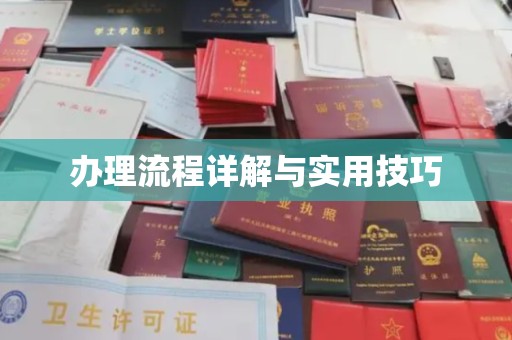 纳雍办理流程详解与实用技巧