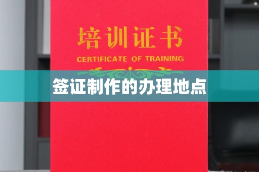纳雍签证制作的办理地点