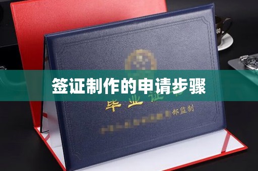 纳雍签证制作的申请步骤