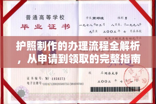 纳雍护照制作的办理流程全解析，从申请到领取的完整指南