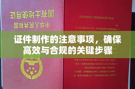 纳雍证件制作的注意事项，确保高效与合规的关键步骤
