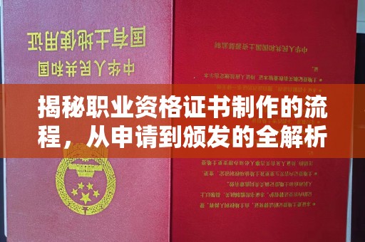 纳雍揭秘职业资格证书制作的流程，从申请到颁发的全解析