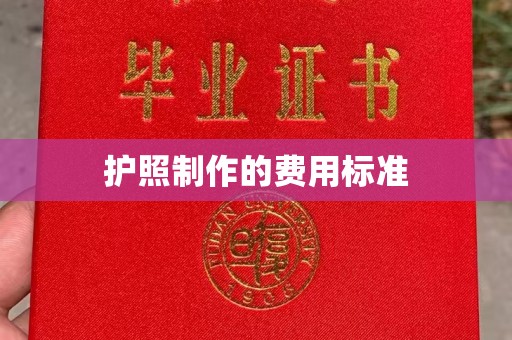 纳雍护照制作的费用标准