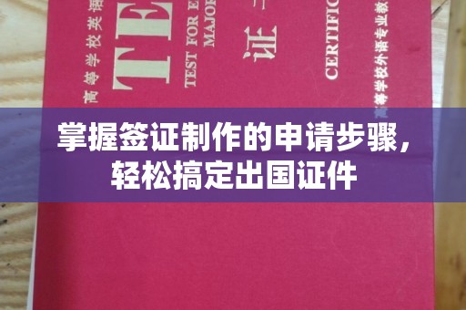 纳雍掌握签证制作的申请步骤，轻松搞定出国证件