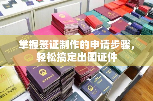 纳雍掌握签证制作的申请步骤，轻松搞定出国证件