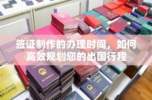 纳雍签证制作的办理时间，如何高效规划您的出国行程