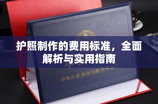 纳雍护照制作的费用标准，全面解析与实用指南