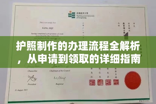 纳雍护照制作的办理流程全解析，从申请到领取的详细指南