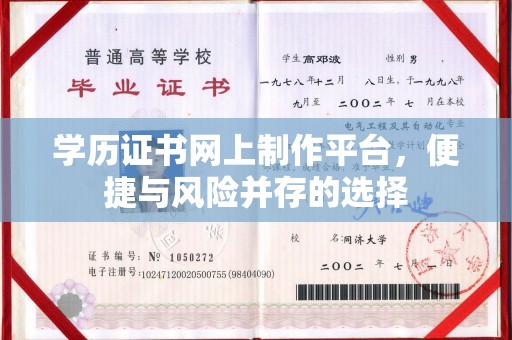 纳雍学历证书网上制作平台，便捷与风险并存的选择