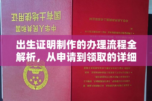 纳雍出生证明制作的办理流程全解析，从申请到领取的详细指南