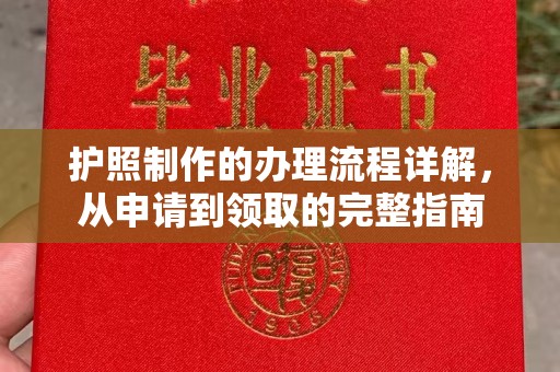 纳雍护照制作的办理流程详解，从申请到领取的完整指南