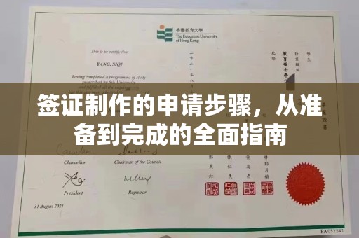 纳雍签证制作的申请步骤，从准备到完成的全面指南
